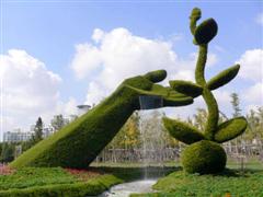 Topiary Photos